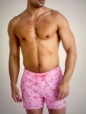 Saxx Pink Flamingo Print Men's Swim Trunks